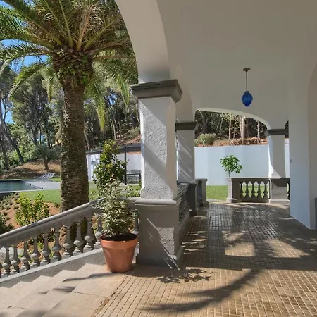 Ava Senia Villa *
